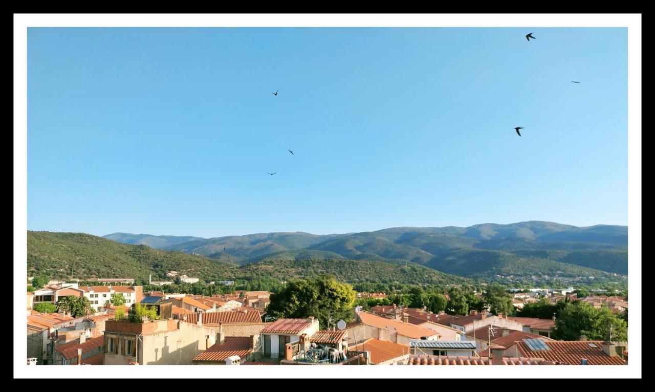 Bed and Breakfast La Belle dAme Prades  Esterno foto